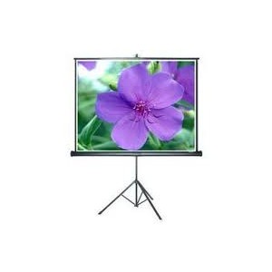 Màn chiếu 3 chân Dalie 100 inch