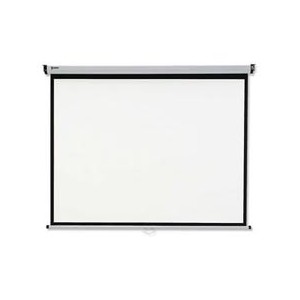 Màn chiếu treo tường Dalite 140 inch